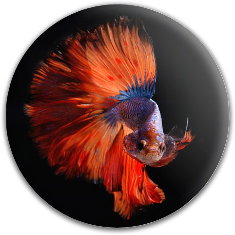Design #63271 (Animals)