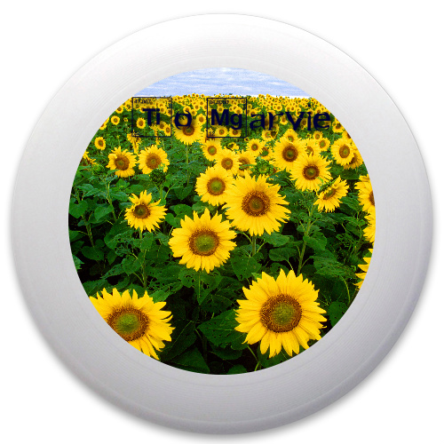 Design 45449