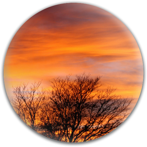 Fall Sunset