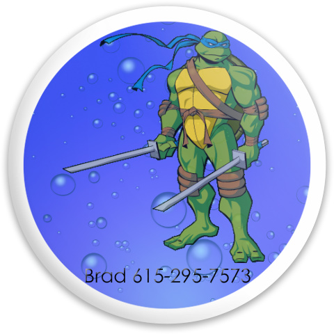 Turtle