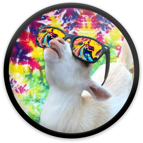 Tie Dye Goat Bruh