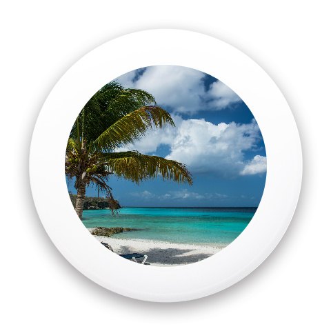 Tropical Paradise Mini
